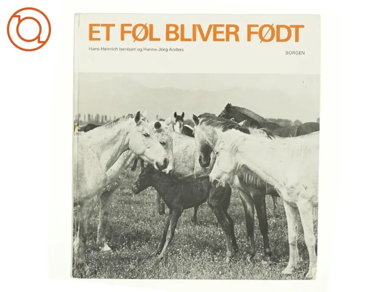 Billede 1 - Et føl bliver født fra borgen