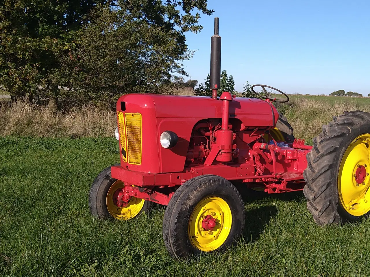 Billede 1 - veterantraktor sælges 