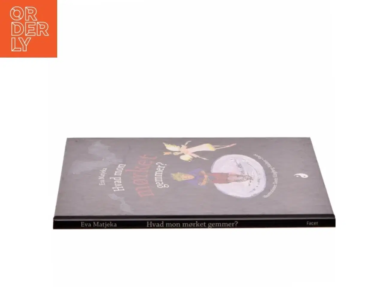 Billede 2 - Hvad mon mørket gemmer? af Eva Matjeka (Bog)