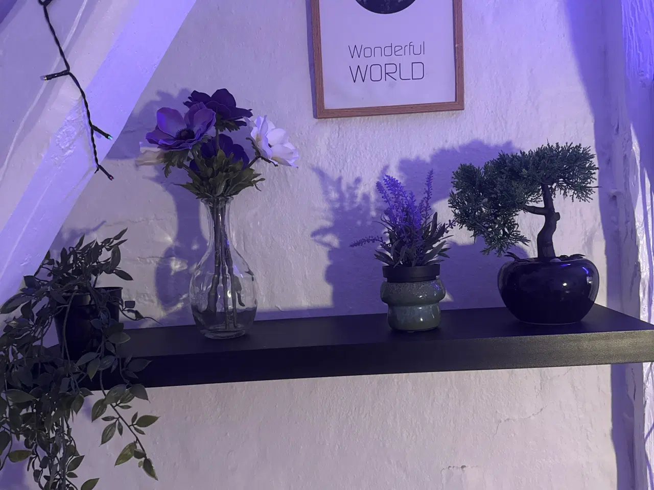 Billede 7 - Ps5 con fattura di acquisto