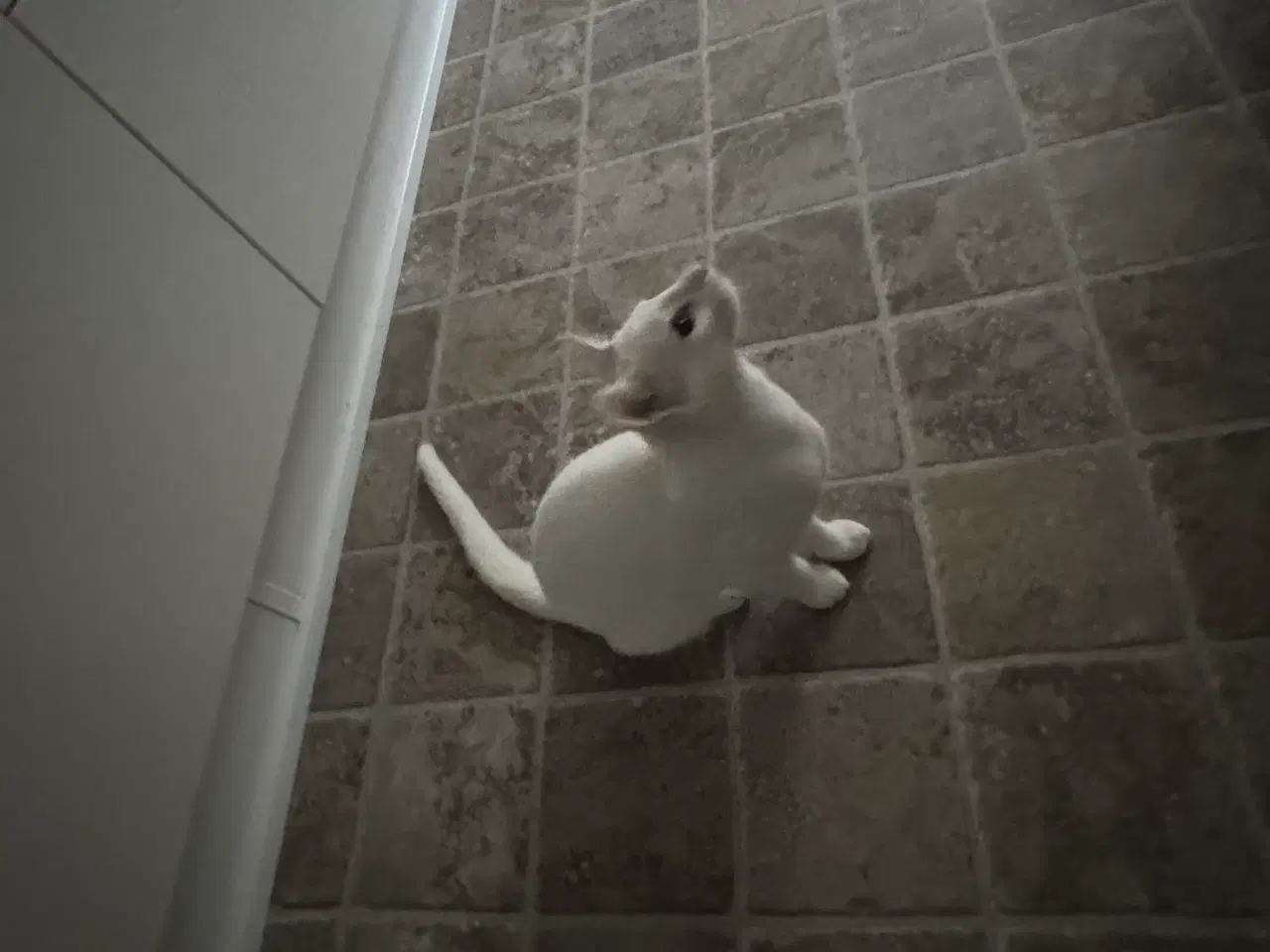 Billede 5 - Søge nyt og trygge hjem