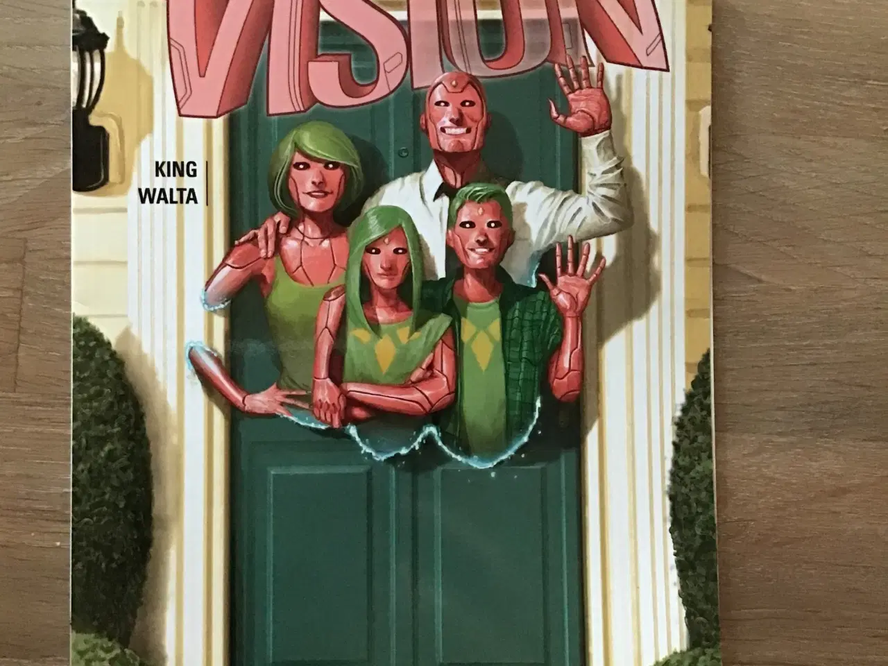 Billede 1 - Vision