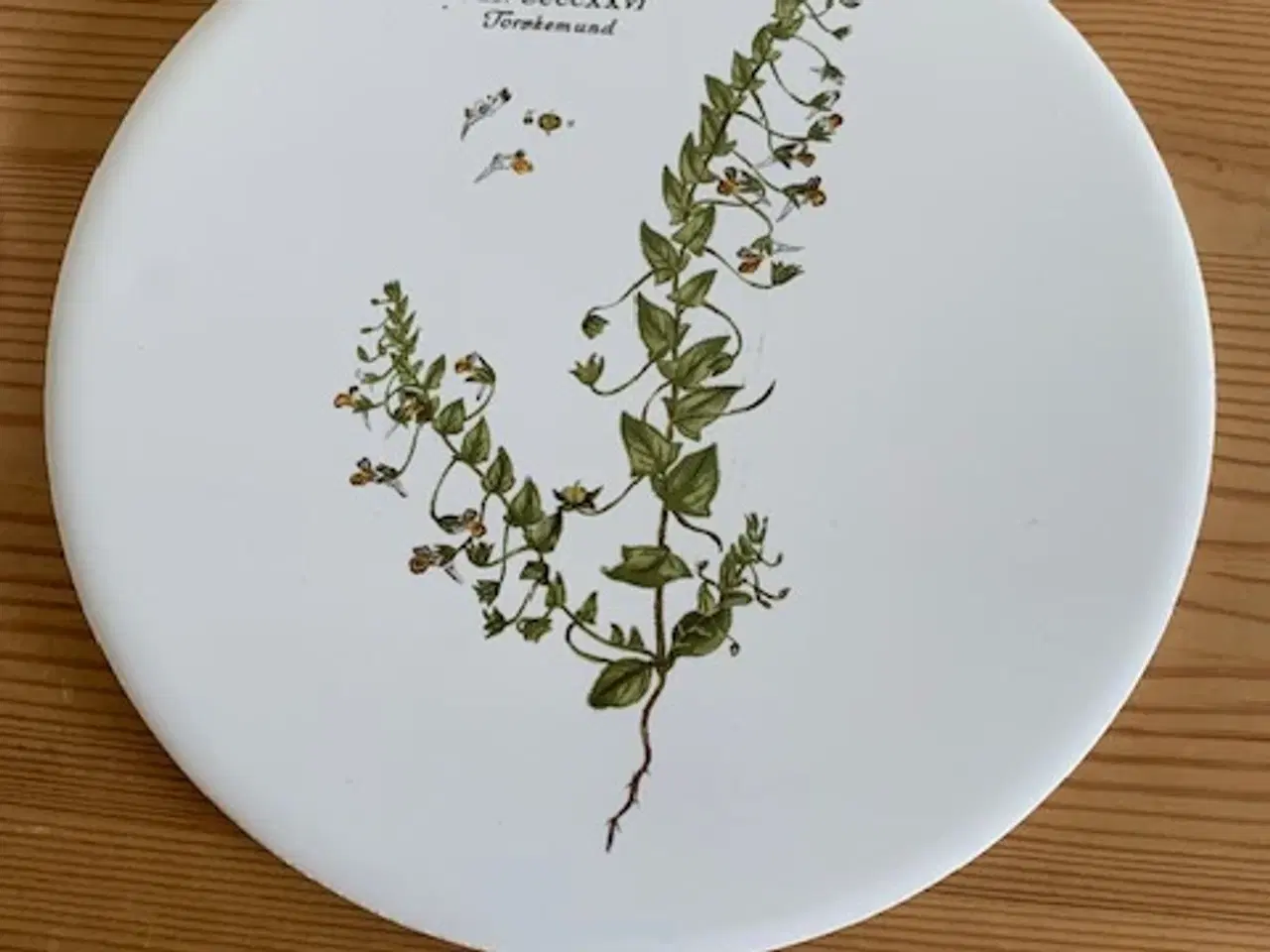 Billede 2 - Flora Danica platte, vintage - samlet pris 30 kr.