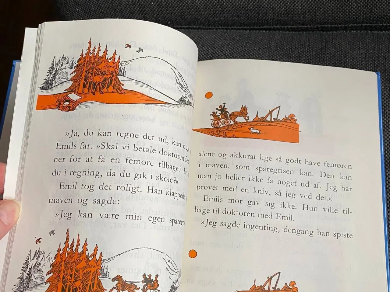 Billede 5 - Emil fra Lønneberg 