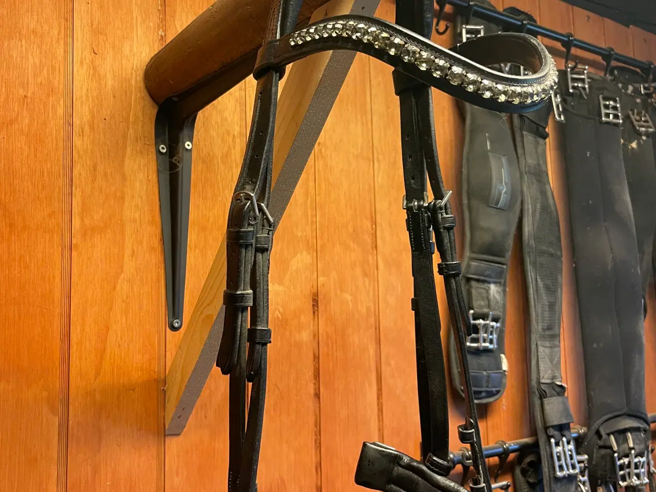 Billede 1 - Sort ANKY trense i str full