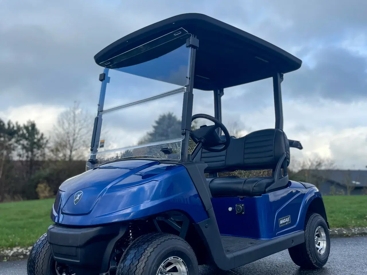 Billede 1 - Smart blå golfbil 