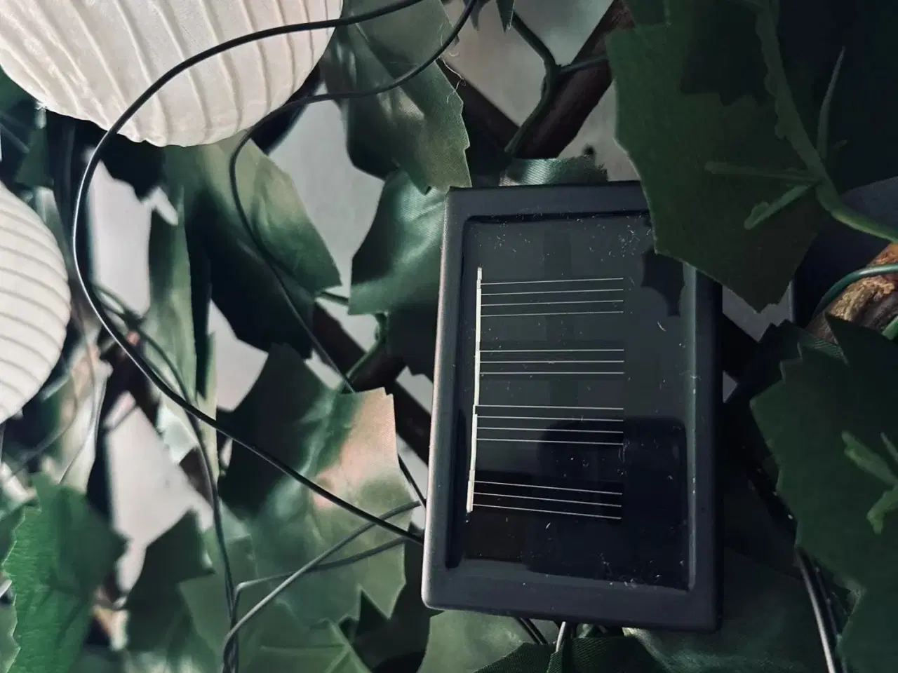 Billede 4 - Rislampe lyskæde