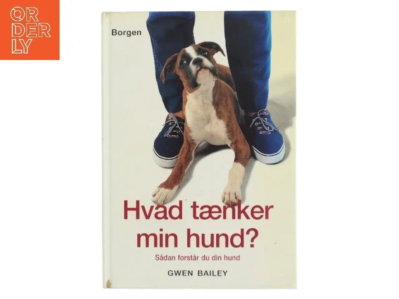Billede 1 - Hvad tænker min hund? af Gwen Bailey (Bog)