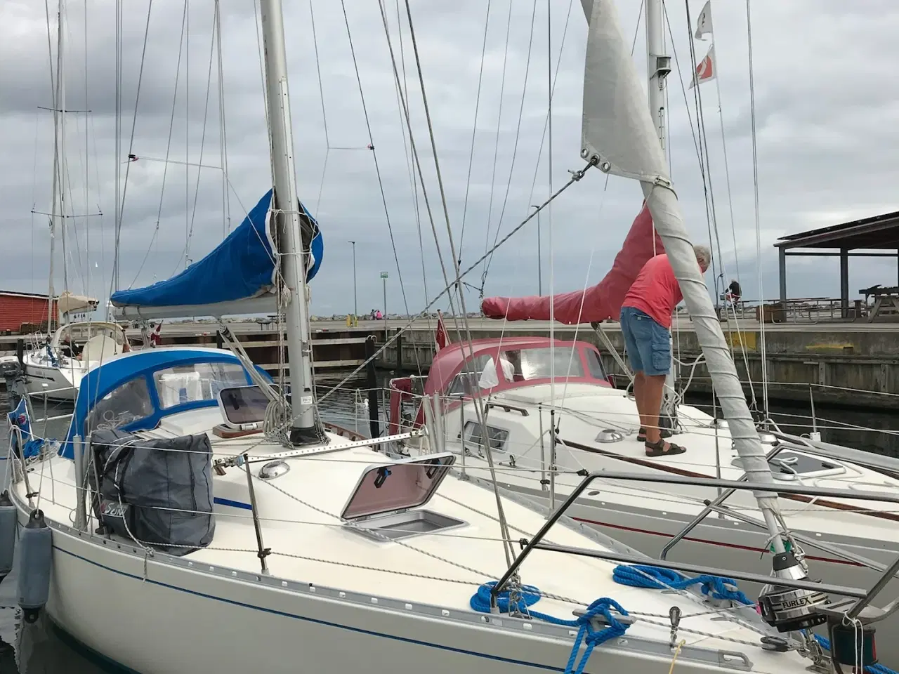 Billede 6 - Velsejlende Omega 34 sælges