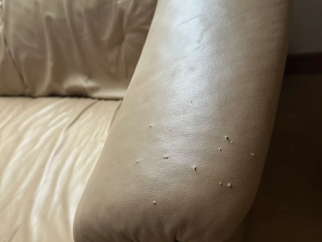 Billede 3 - Stressless sofaer 