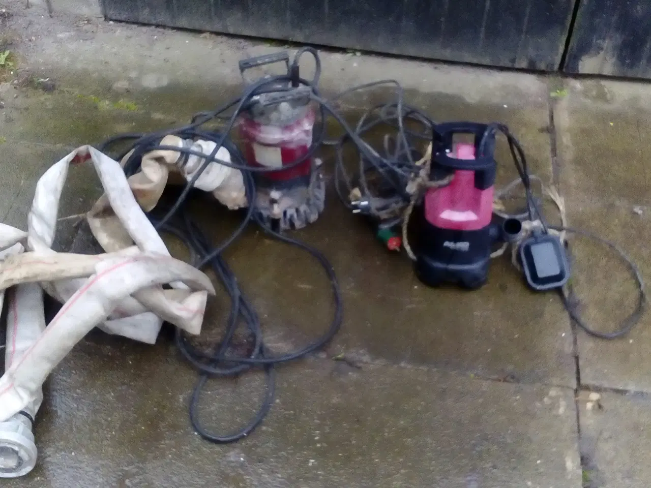 Billede 2 - Vand pumper til skybrud