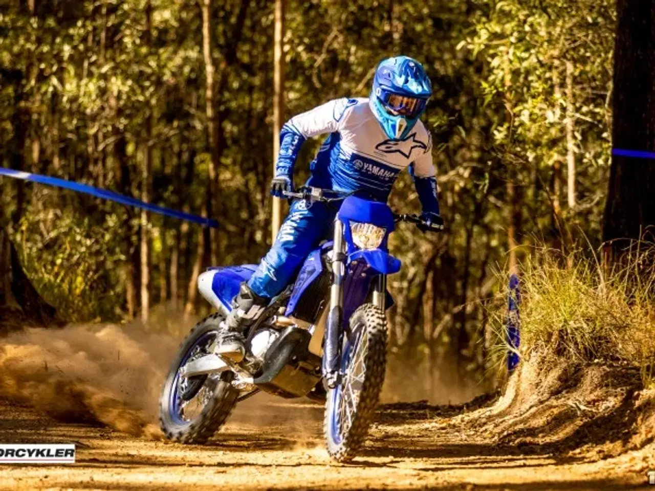 Billede 6 - Yamaha WR 450 F