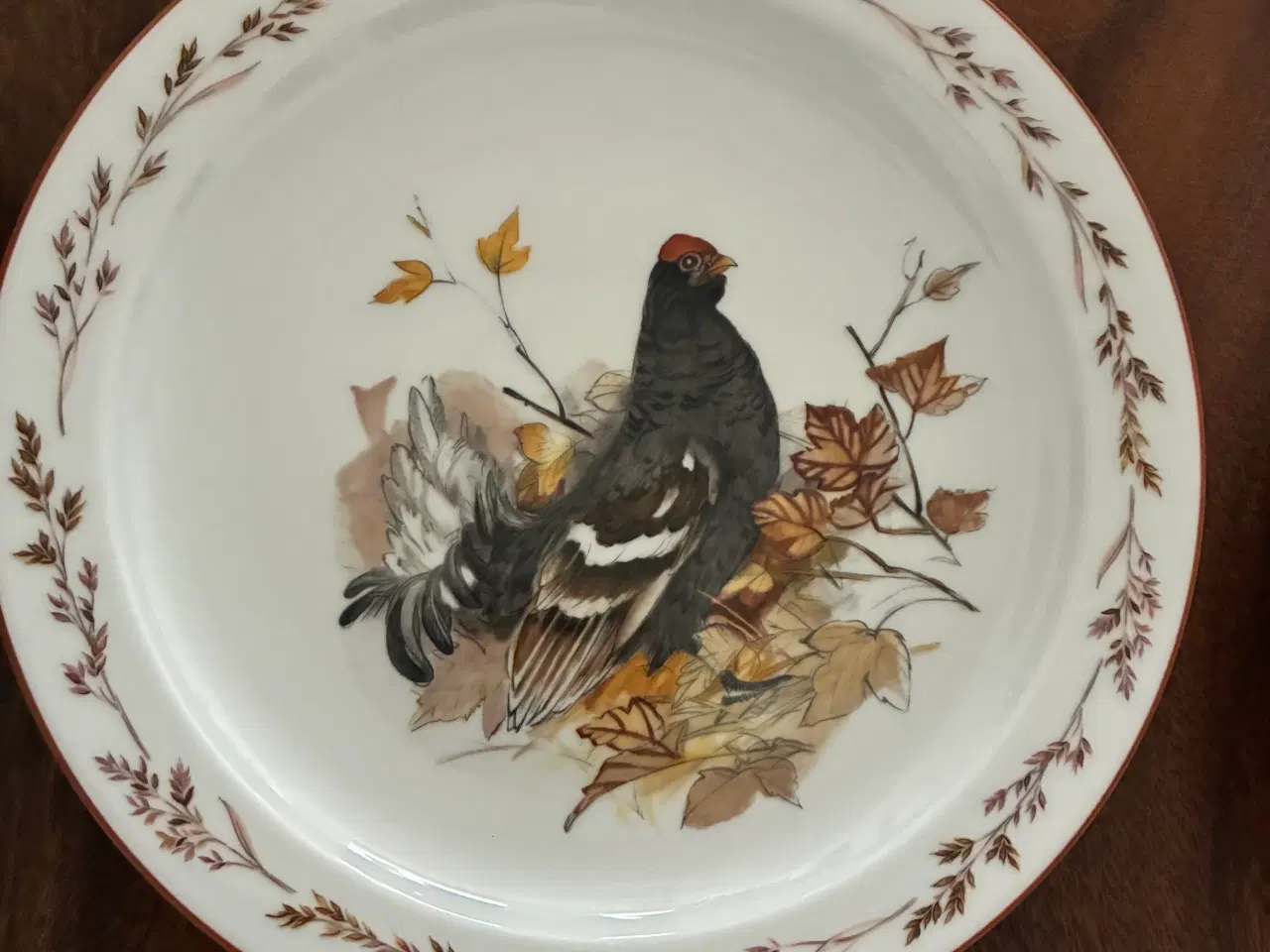 Billede 2 - Mads Stage tallerkener 24 cm