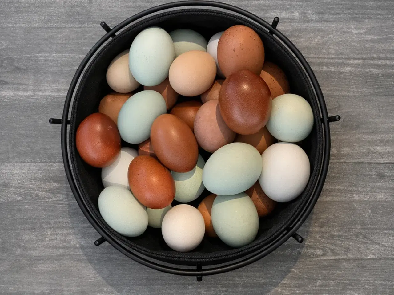 Billede 1 - Daggammel kyllinger 