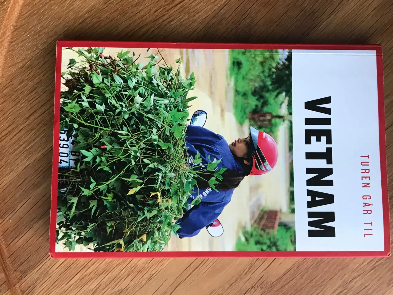 Billede 1 - Turen går til Vietnam