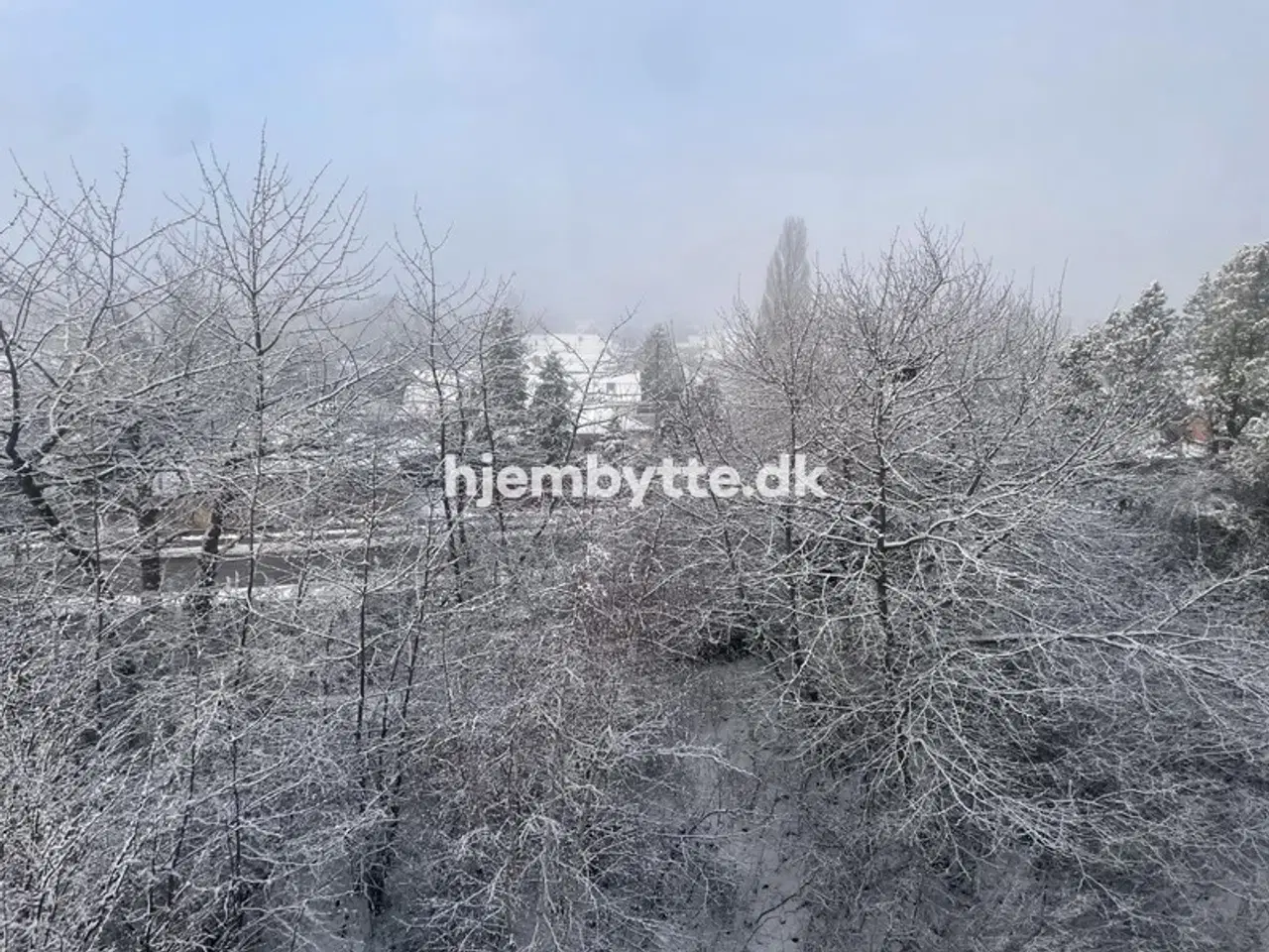 Billede 4 - Hjembytte - Næsbyvej