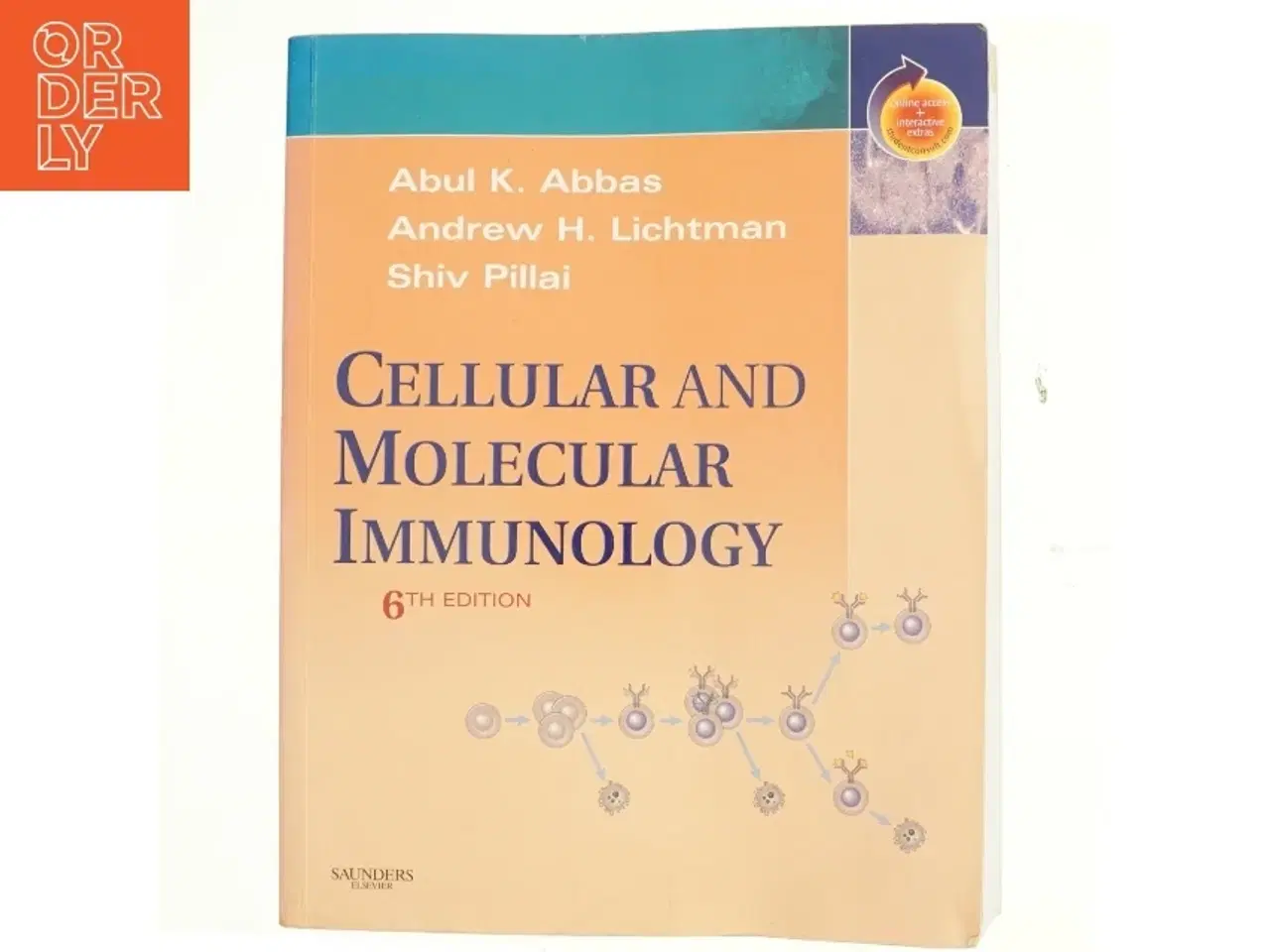 Billede 1 - Cellular and molecular immunology (Bog)