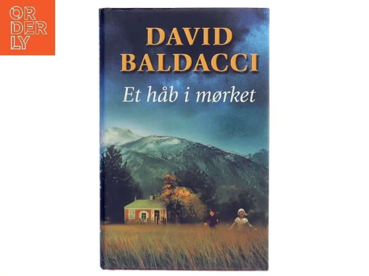 Billede 1 - David Baldacci bog fra David Baldacci
