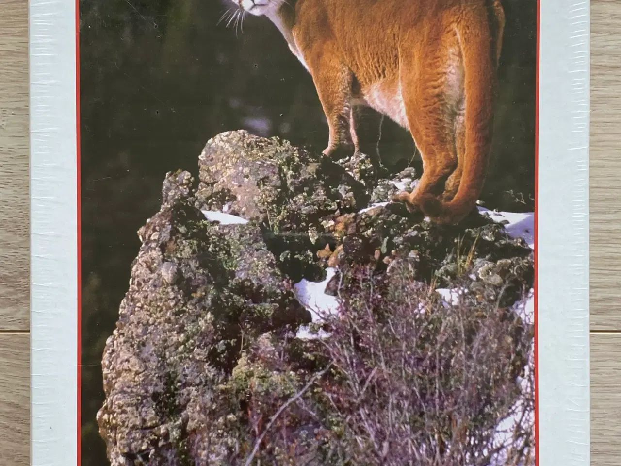 Billede 1 - (NY) Mountain Lion, Alaska 1000 brikker