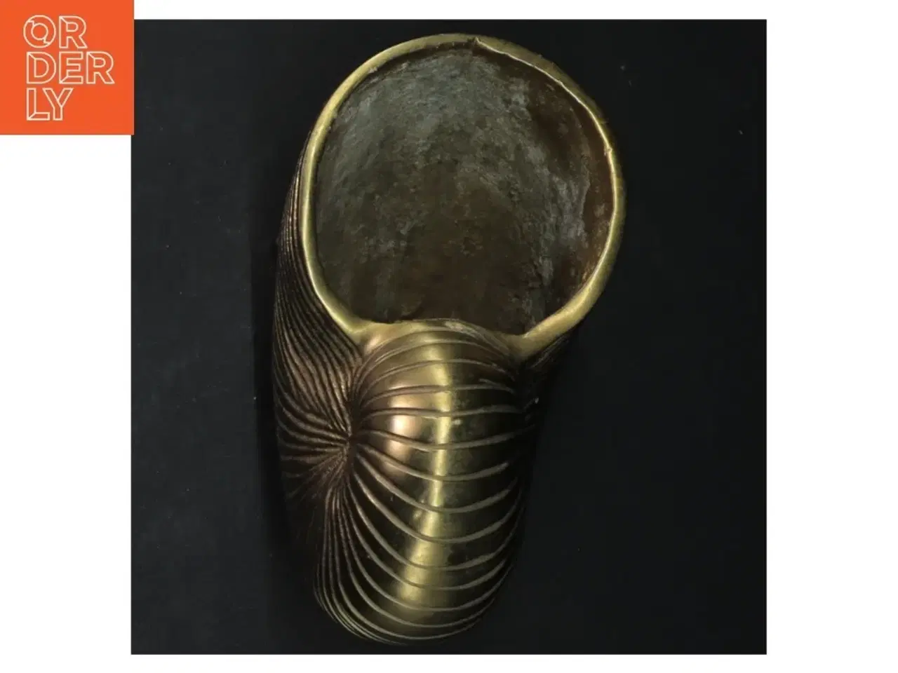 Billede 3 - Messing sneglhus skål/vase dekoration (str. 17 cm)