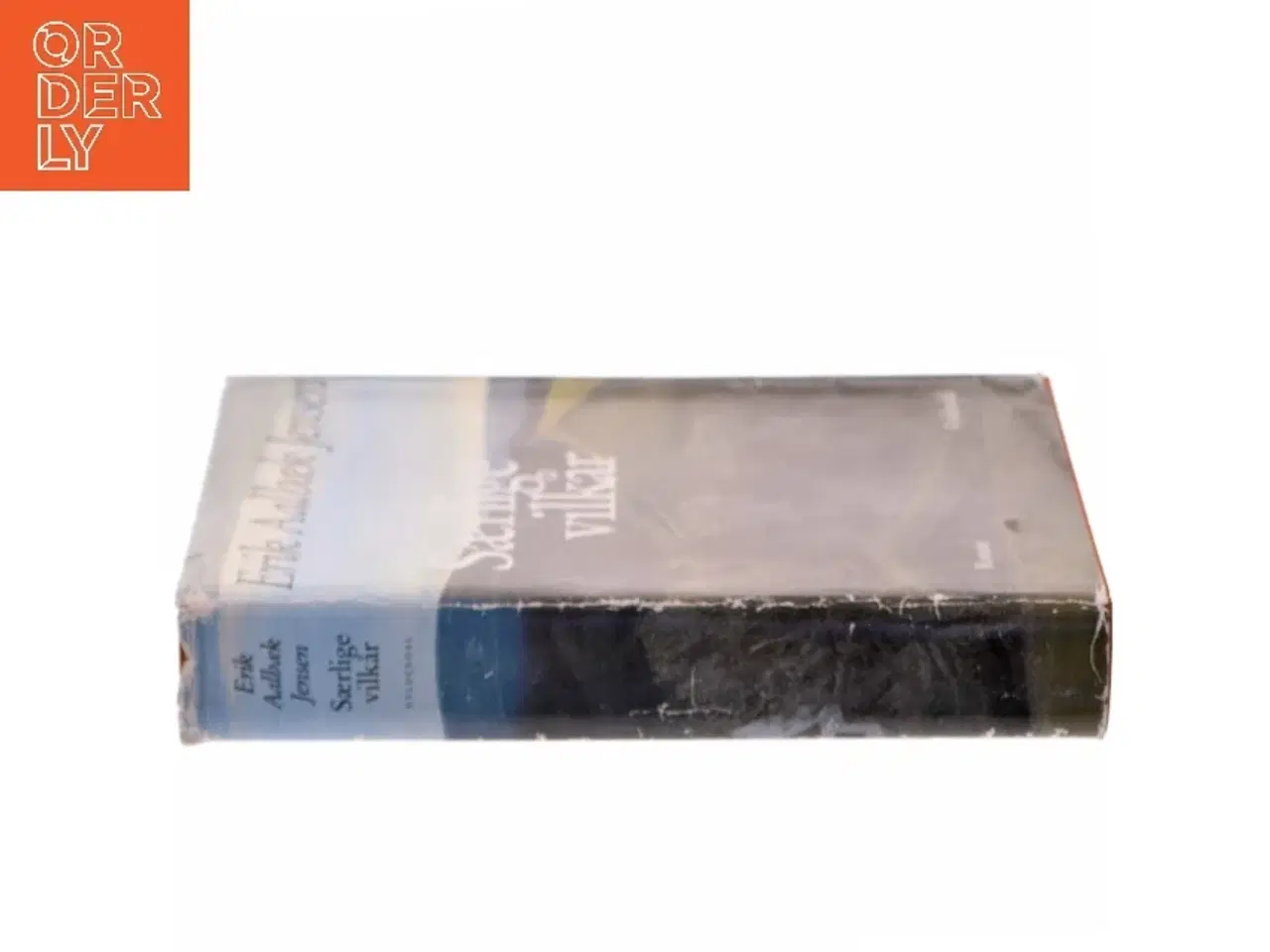 Billede 2 - Særlige vilkår : roman af Erik Aalbæk Jensen (Bog)