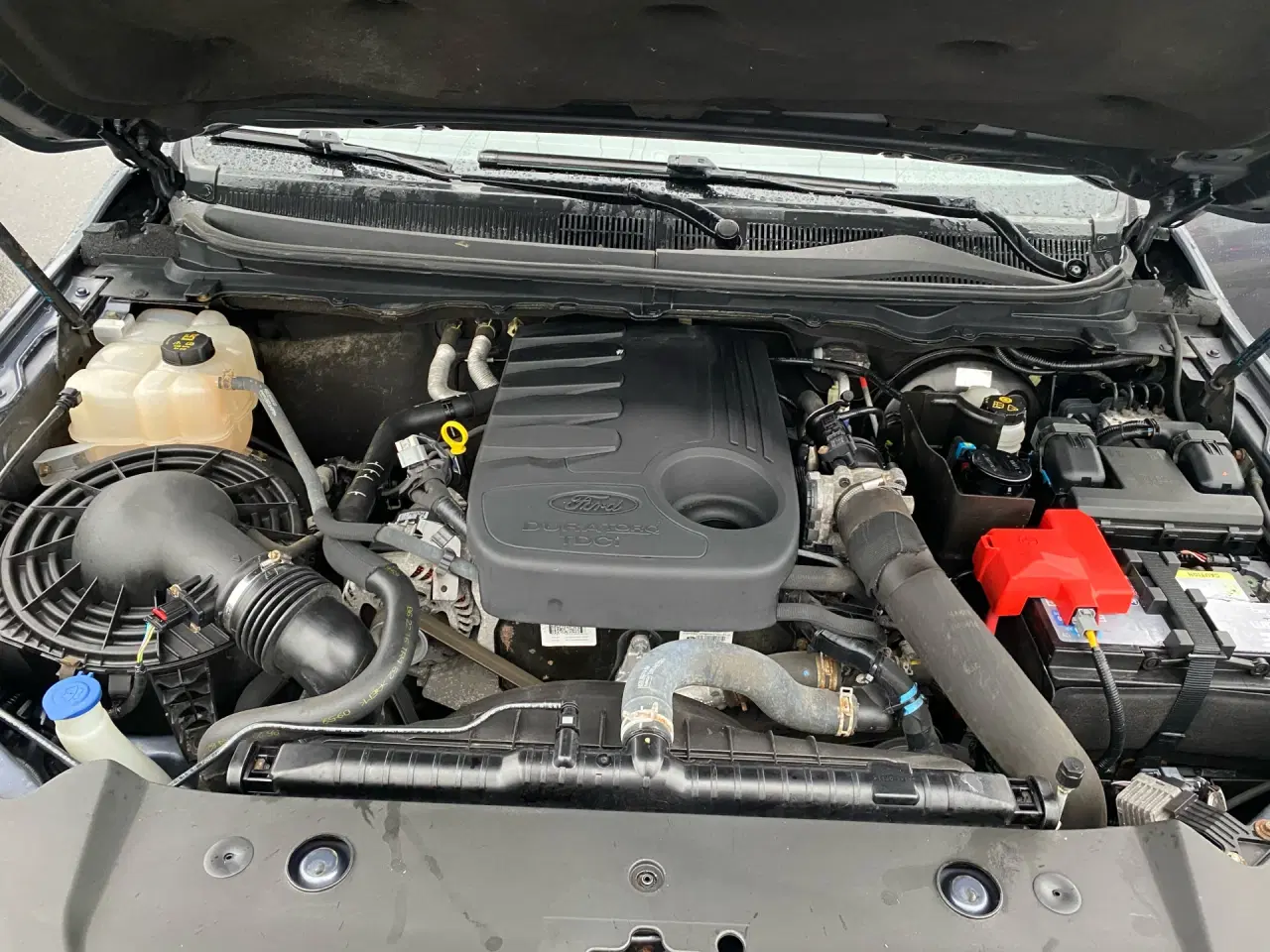 Billede 19 - Ford Ranger 3200kg 3,2 TDCi Wildtrak 4x4 200HK DobKab 6g