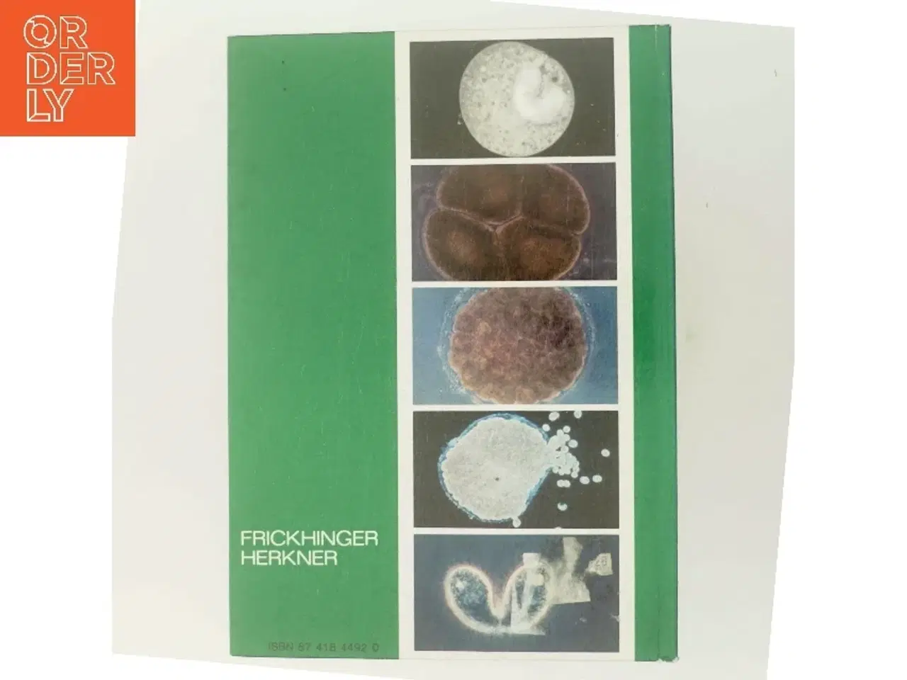 Billede 3 - Så frisk som fisken i vandet? af Frickhinger (Bog)