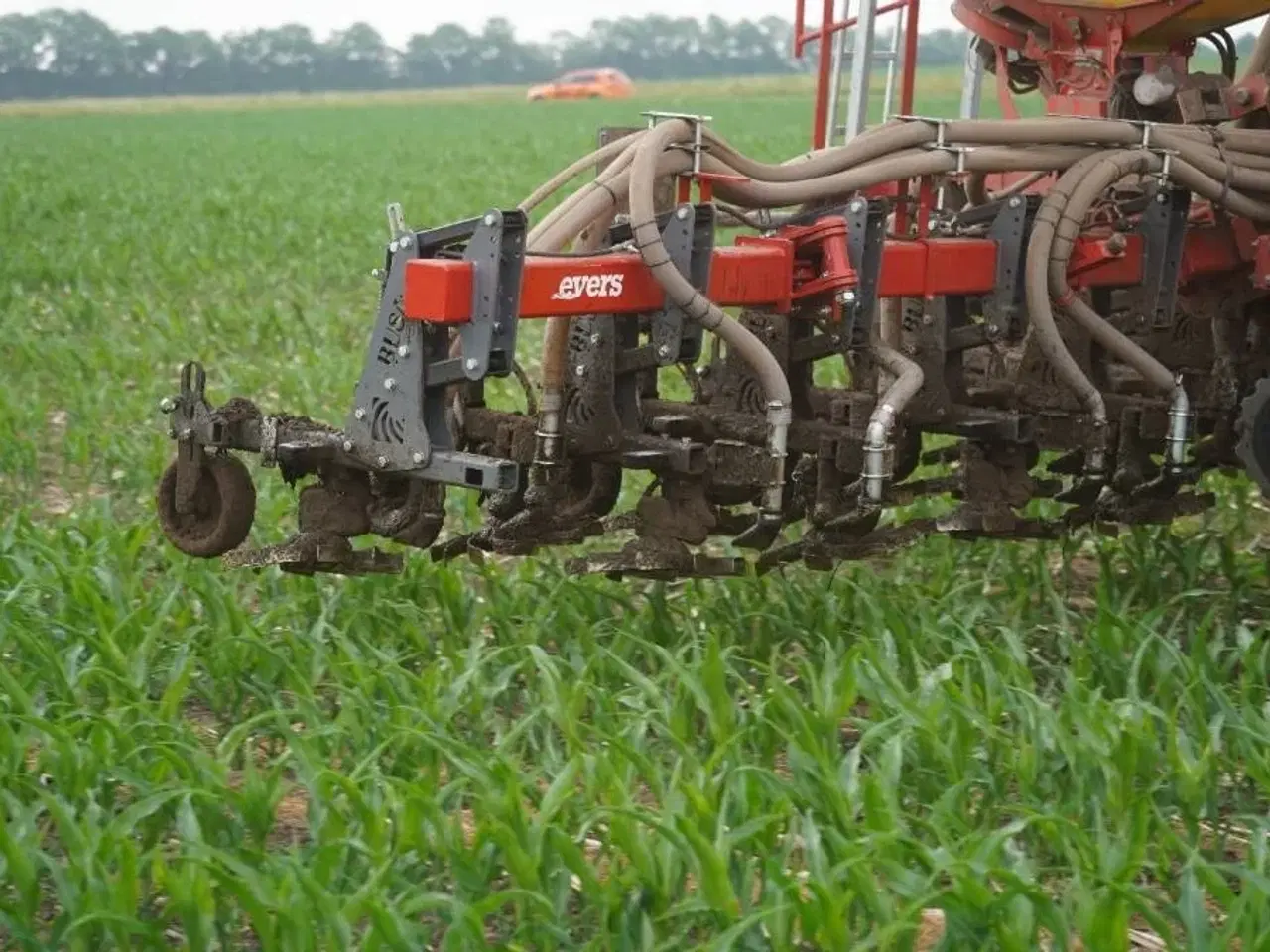Billede 13 - - - - Evers Tribus renser SB 12- 150