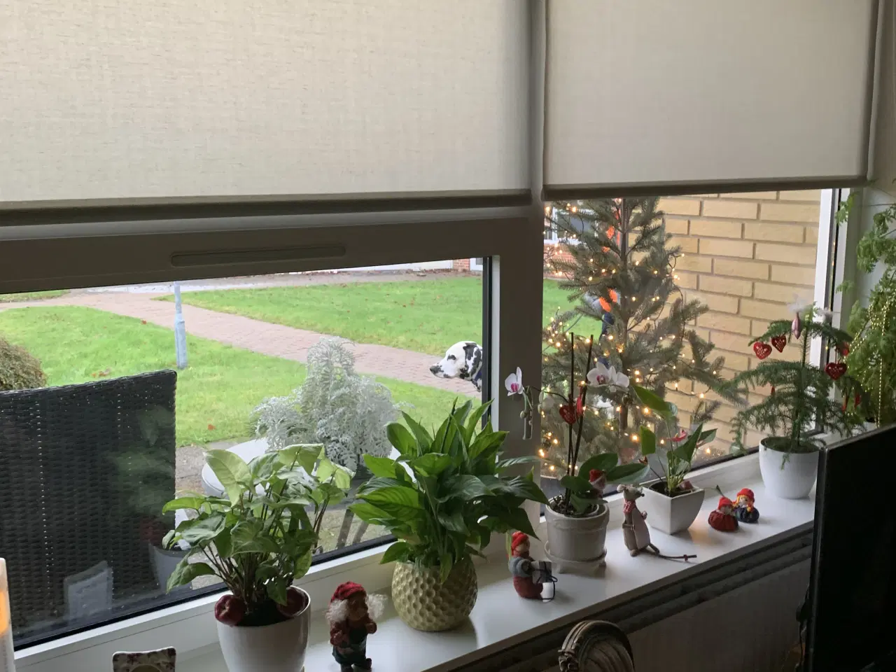 Billede 1 - 4 stk Faber rullegardiner som nye gi et bud 🧚