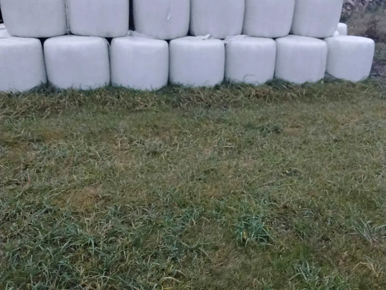 Billede 6 - Wrapballer & Hø sælges