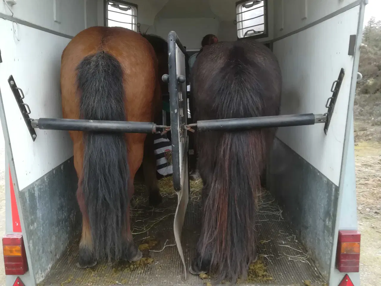 Billede 4 - Brenderup k33 2 hestes trailer