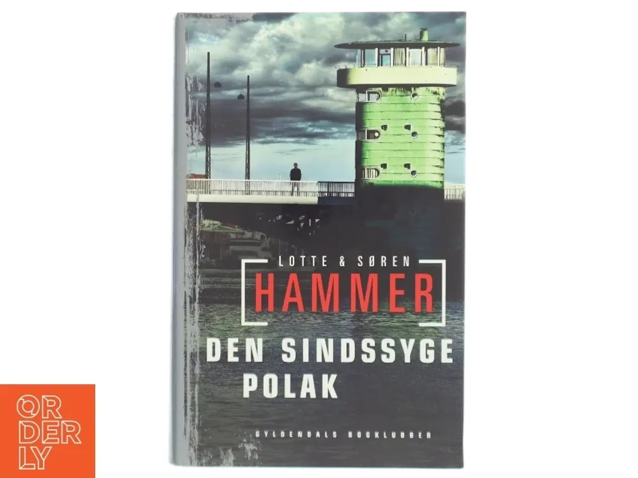 Billede 1 - Den sindssyge polak : kriminalroman af Lotte Hammer (Bog)