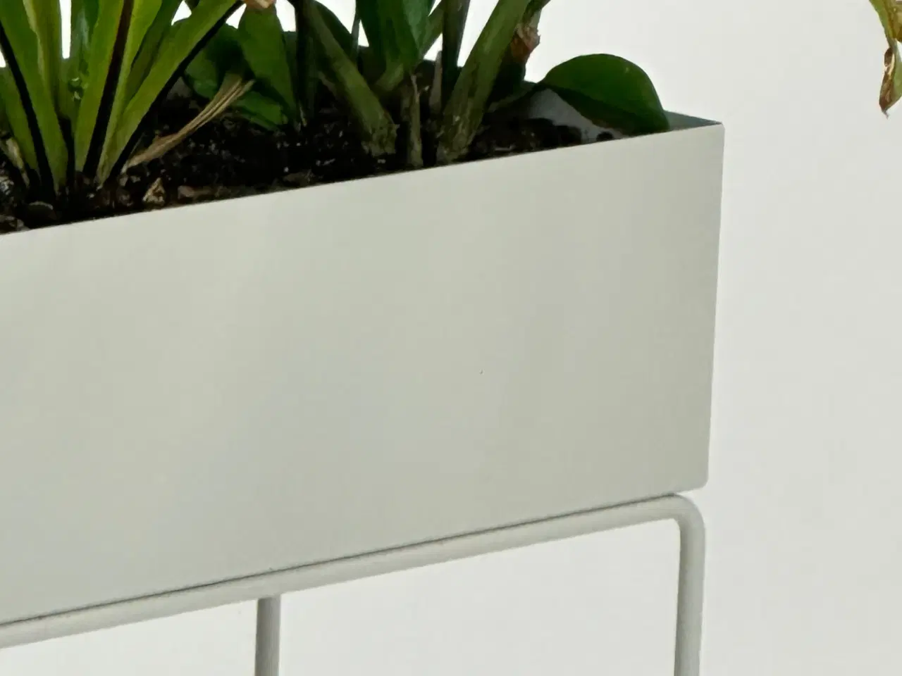 Billede 3 - Moderne Plantekasse