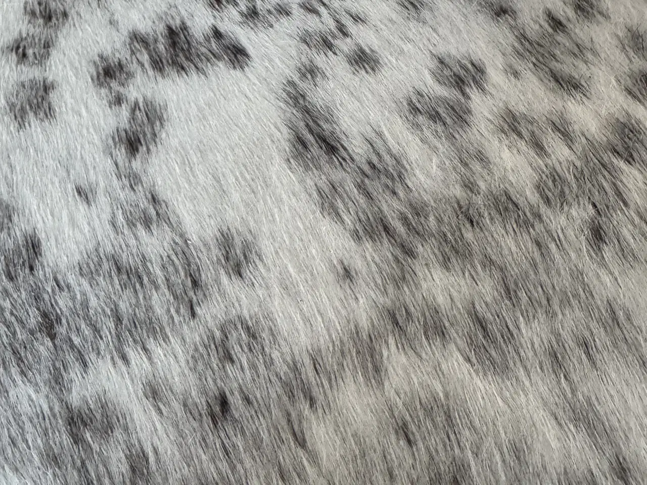 Billede 3 - Skammel i ko skind 