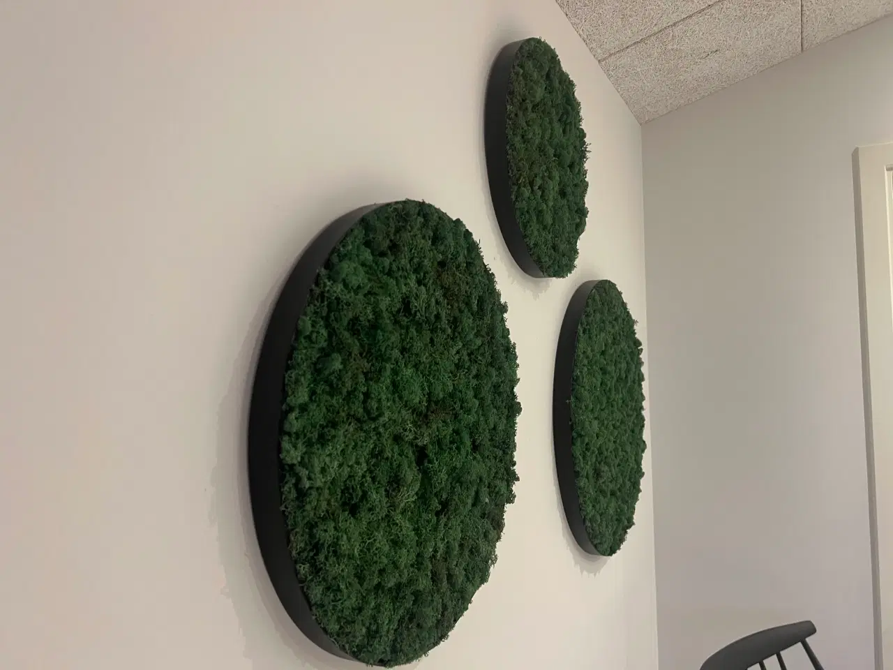 Billede 12 - Mos billeder vi laver 