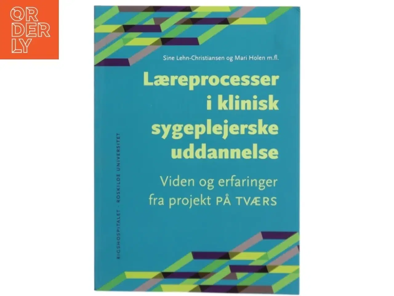Billede 1 - Læreprocesser i klinisk sygeplejerskeuddannelse : viden og erfaringer fra projekt På Tværs af Mari Holen (Bog)