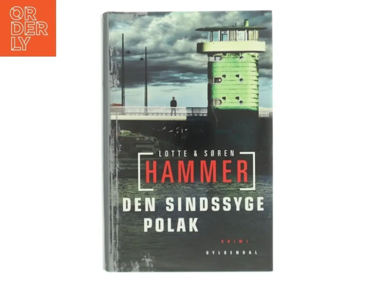 Billede 1 - Den sindssyge polak : kriminalroman af Lotte Hammer (Bog)