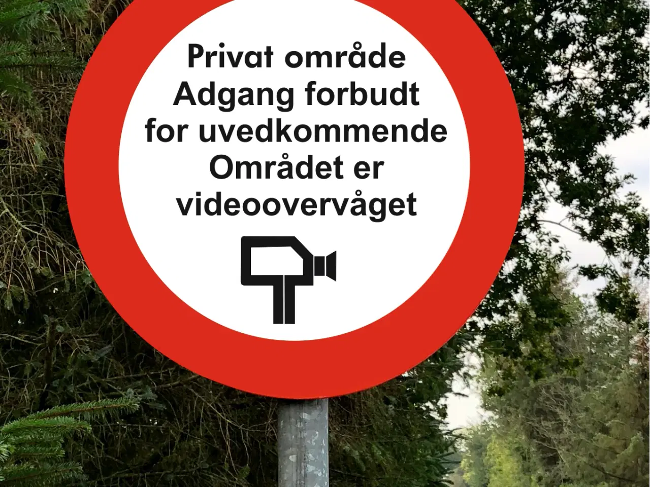 Billede 2 - Vejskilte Ø 50 cm