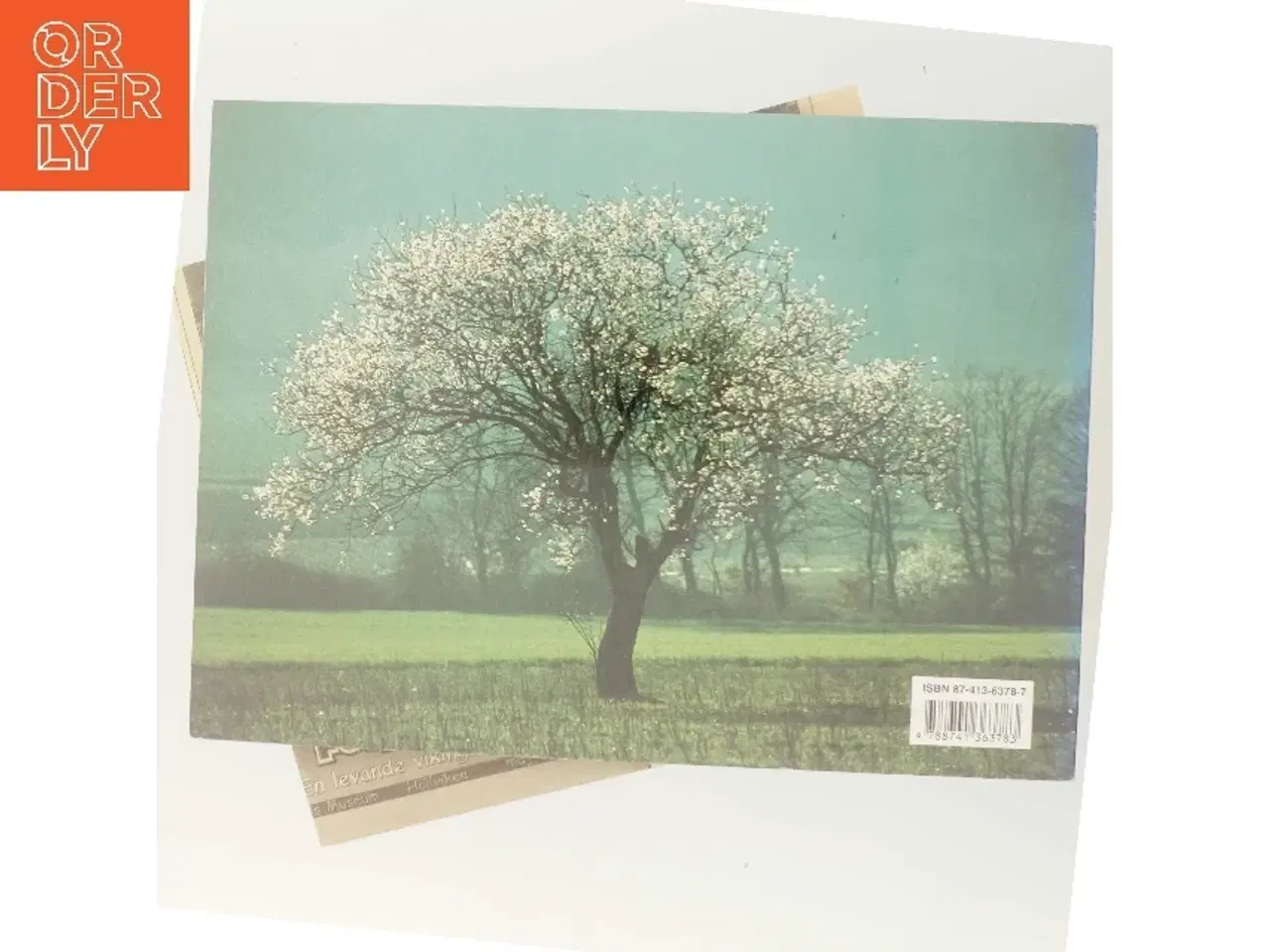 Billede 3 - Provencalsk mosaik af Jacques Berg (Bog)