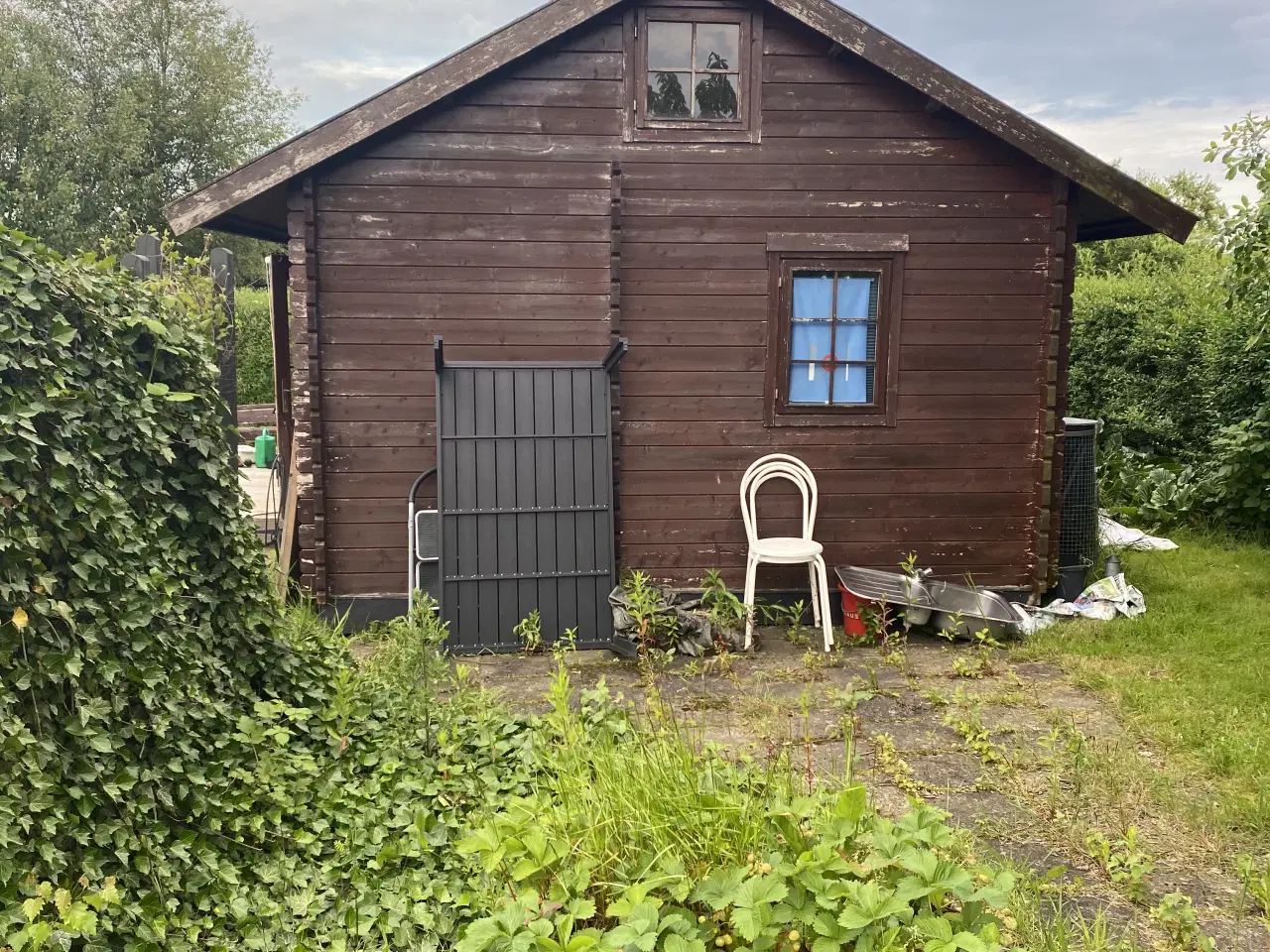 Billede 7 - Kolonihave i Randers