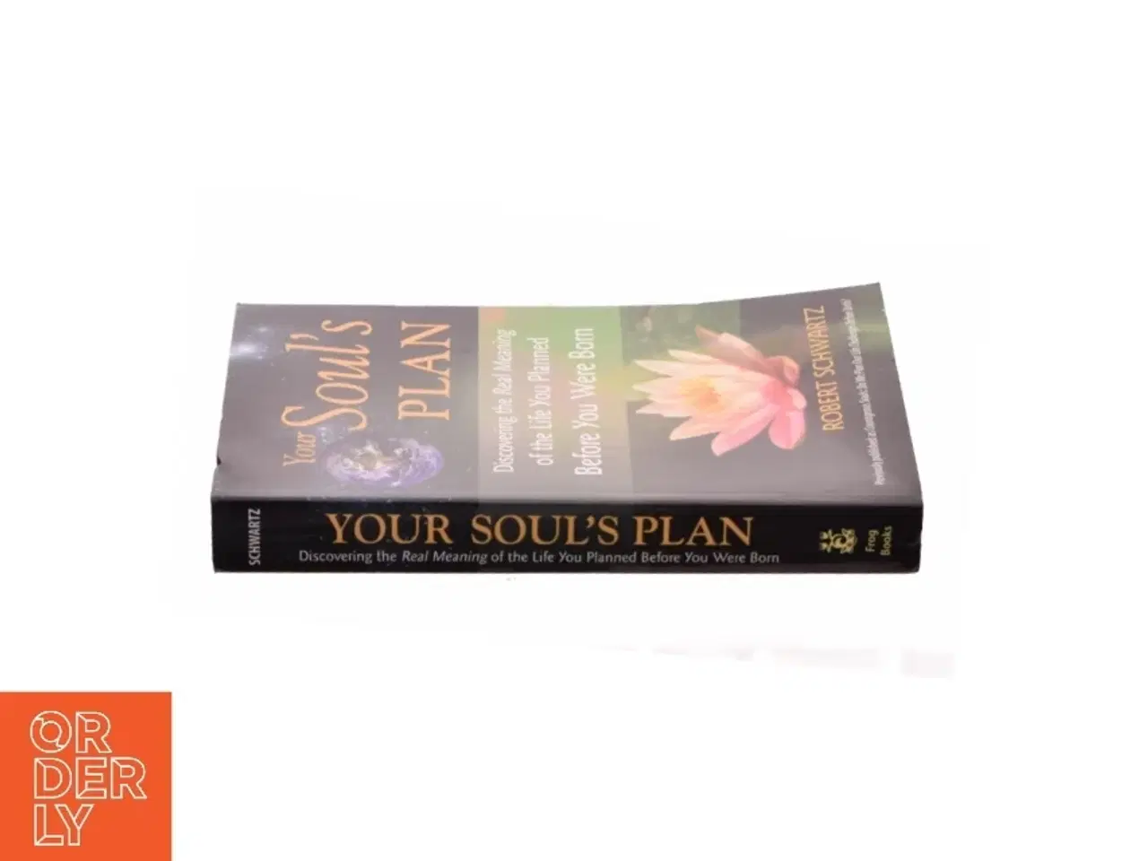 Billede 2 - Your Soul&#39;s Plan af Robert Schwartz (Bog)