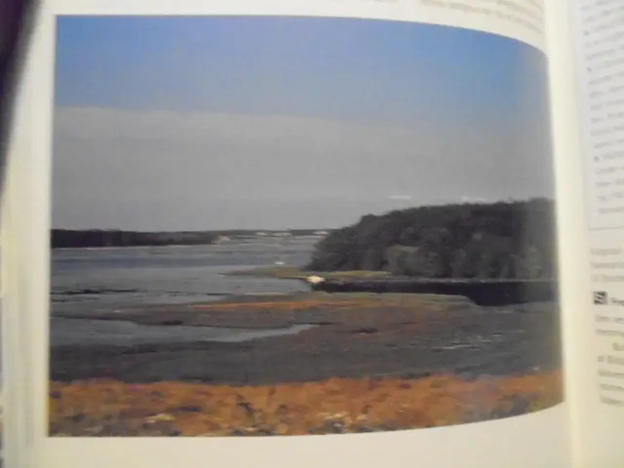Billede 7 - Danmarks fredede områder – stor og flot bog