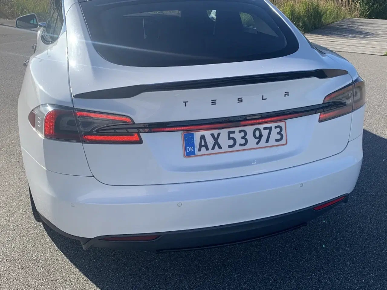 Billede 6 - EVETESLA - DRAGONTAIL - MODEL S - 21” GULDFÆLGE