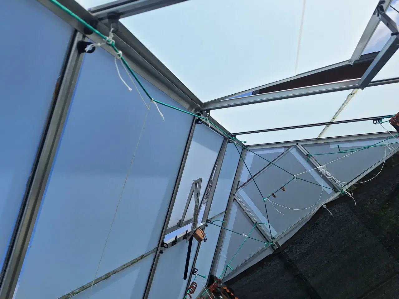 Billede 4 - Drivhus 5m2