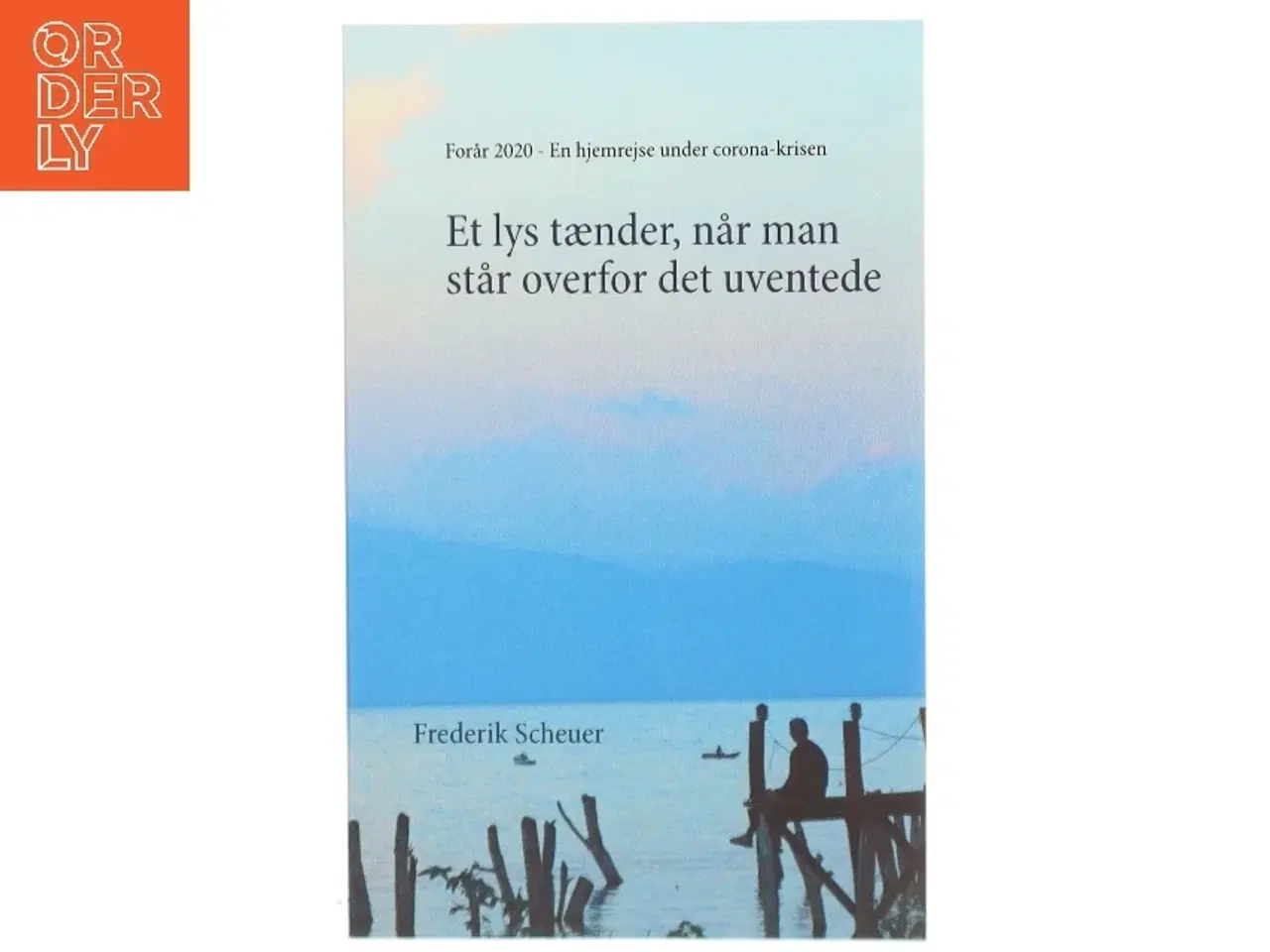 Billede 1 - Et lys tænder, når man står overfor det uventede : forår 2020 - en hjemrejse fra Mellemamerika til Danmark under corona-krisen af