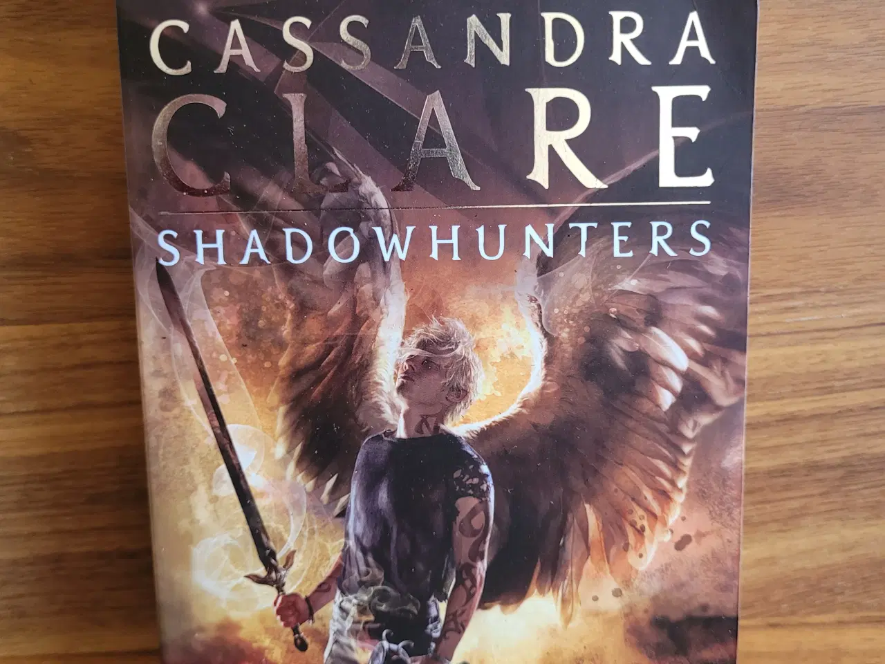 Billede 7 - The Mortal Instruments serien, Cassandra Clare