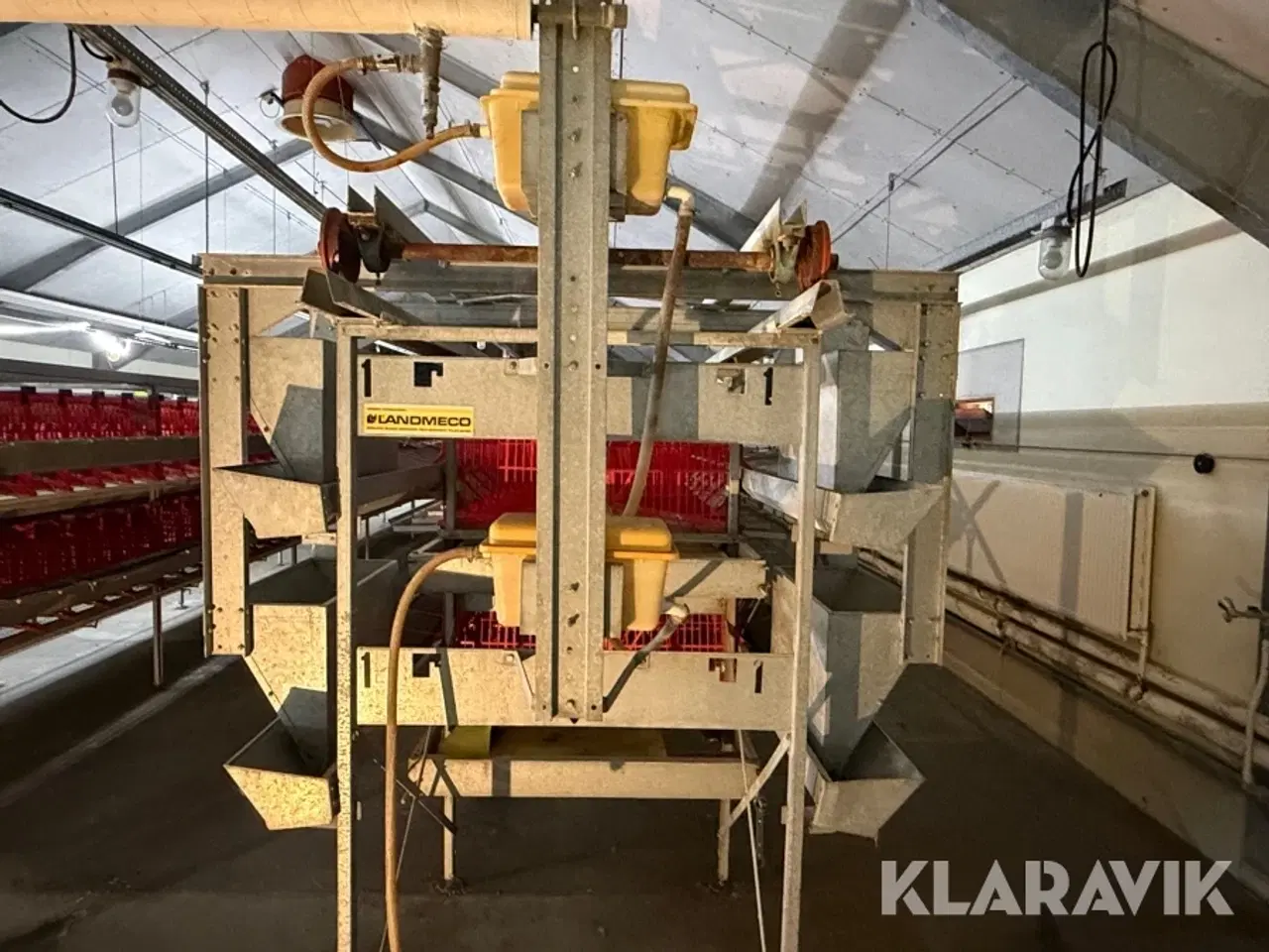 Billede 4 - Produktionslinje Landmeco æglægger system