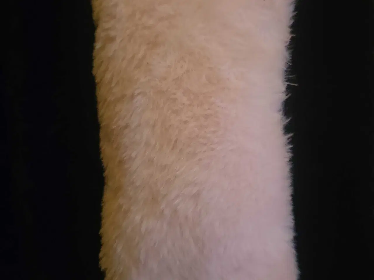 Billede 6 - Lyserød Kæledyrssofa/seng