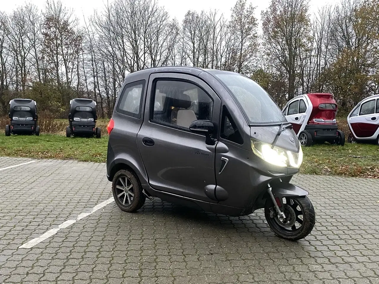 Billede 1 - Rex Deluxe grå