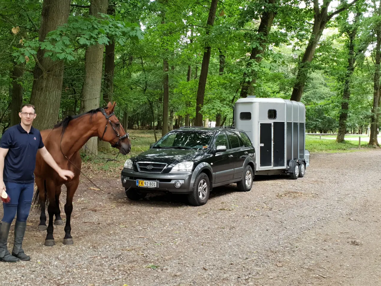 Billede 5 -  Stor Ifor Williams Hestetrailer m/ frontudgang